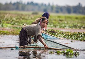 Gender and Social Inclusion in Local Water Planning: Lessons from Water Use Master Plan Practices in Nepal