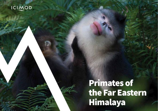 primates of far eastern himalaya