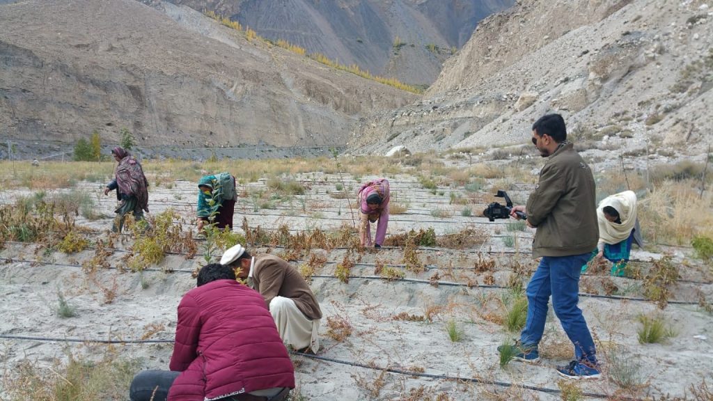Barren land converted into agricultural land through the water lifting technology in Gilgit-Baltistan (Photo Ajaz AliICIMOD)
