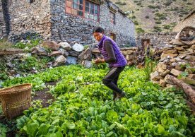 Mountain communities rely on agriculture, tourism, and remittance