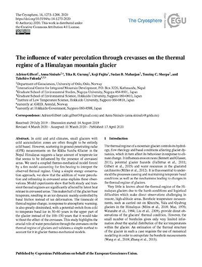 The influence of water percolation through crevasses on the thermal regime of a Himalayan mountain glacier