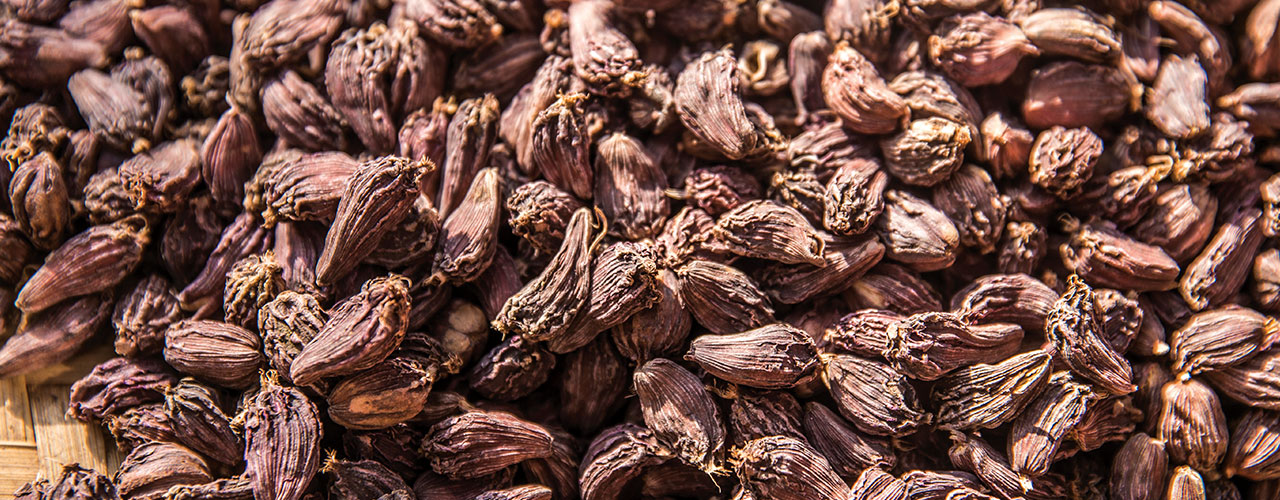 Diversification to reduce risks in large cardamom production