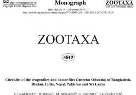 zootaxa