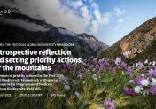 Towards the Post-2020 Global Biodiversity Framework: Retrospective reflection and setting priority actions for the mountains