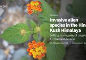 Invasive alien species in the Hindu Kush Himalaya: Setting management targets for the next decade