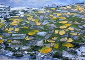 Ecosystem restoration in the Hindu Kush Himalaya photo contest winner announcement