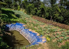 Low-cost ponds to hold water for dry spells