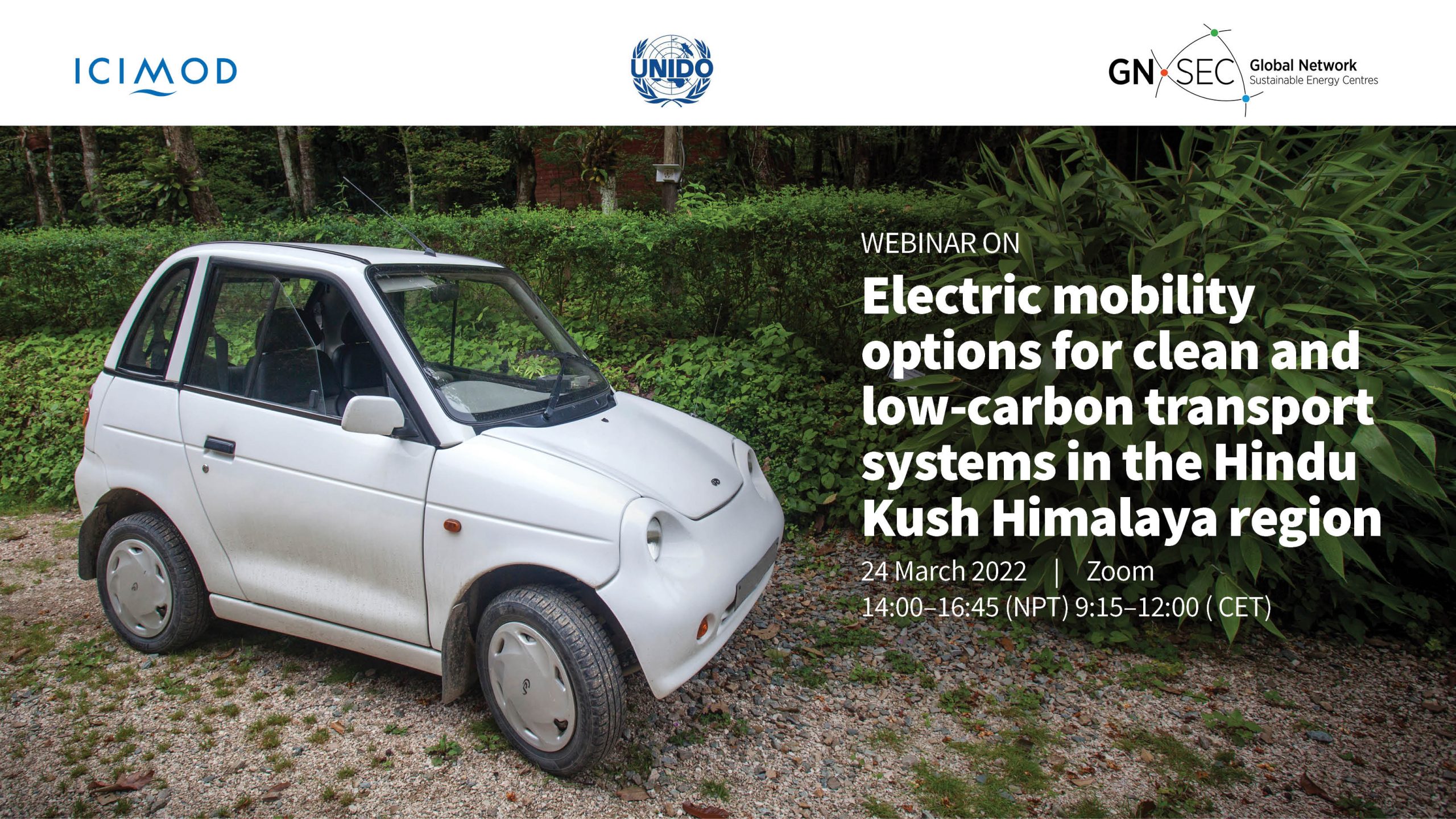 Electric mobility options for clean and low-carbon transport systems in the Hindu Kush Himalaya region