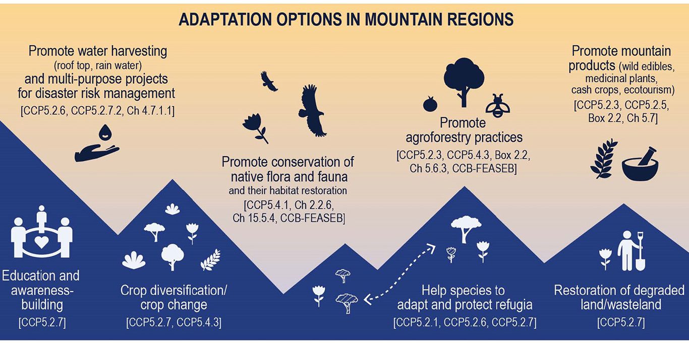 Adaptation options in mountain regions