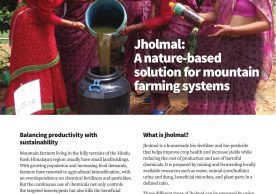 Jholmal: A nature-based solution for mountain farming systems