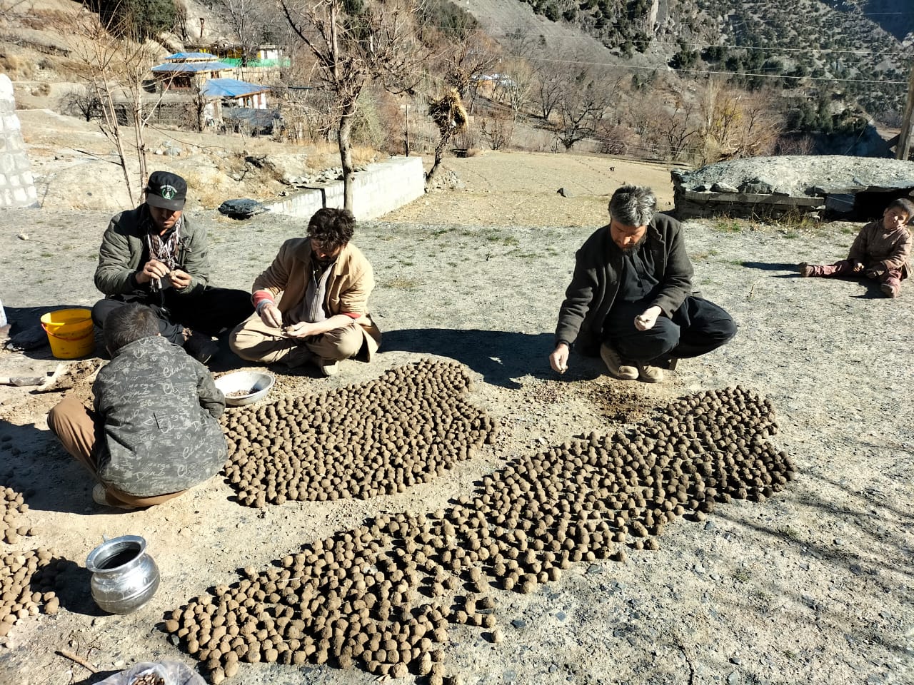 Community members preparing the seed balls