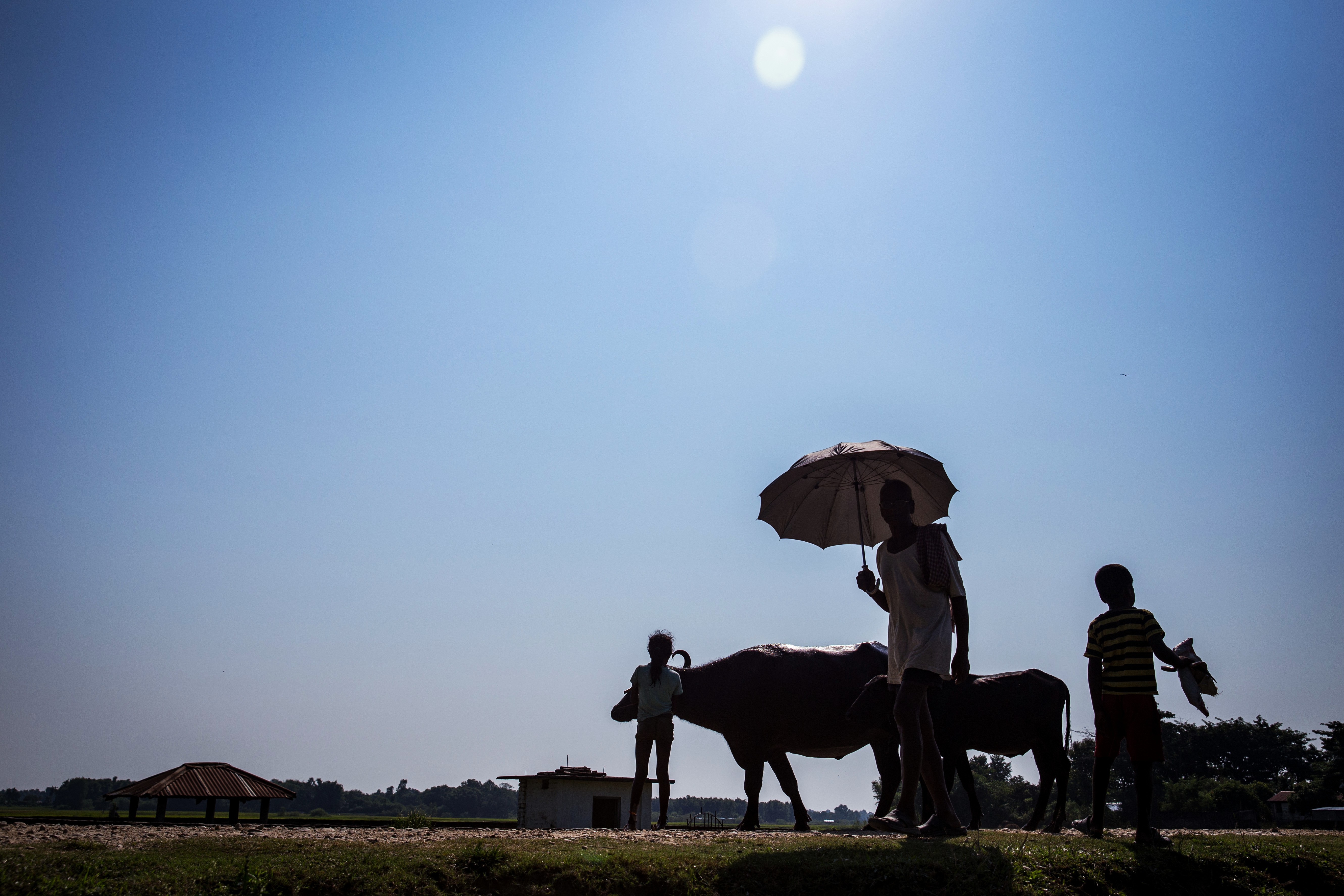 Nepal’s appetite for creating resilient businesses lies in embracing an entrepreneur’s ecosystem