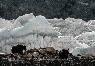 Managing Cryosphere And Water Risks - ICIMOD